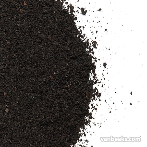 Black Loam preview
